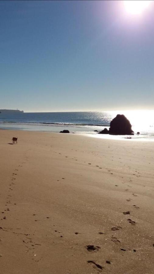 Apartamentos Praia Da Rocha Alex&Mila Vista Mar Portimão Kültér fotó