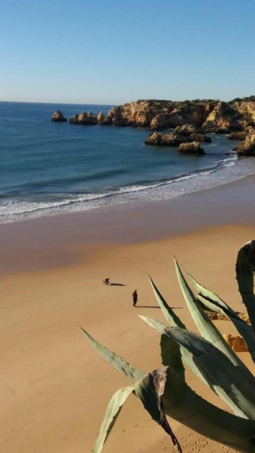 Apartamentos Praia Da Rocha Alex&Mila Vista Mar Portimão Kültér fotó